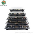 Plastic Sushi Container Ever Green japanese style disposable sushi takeaway box Manufactory